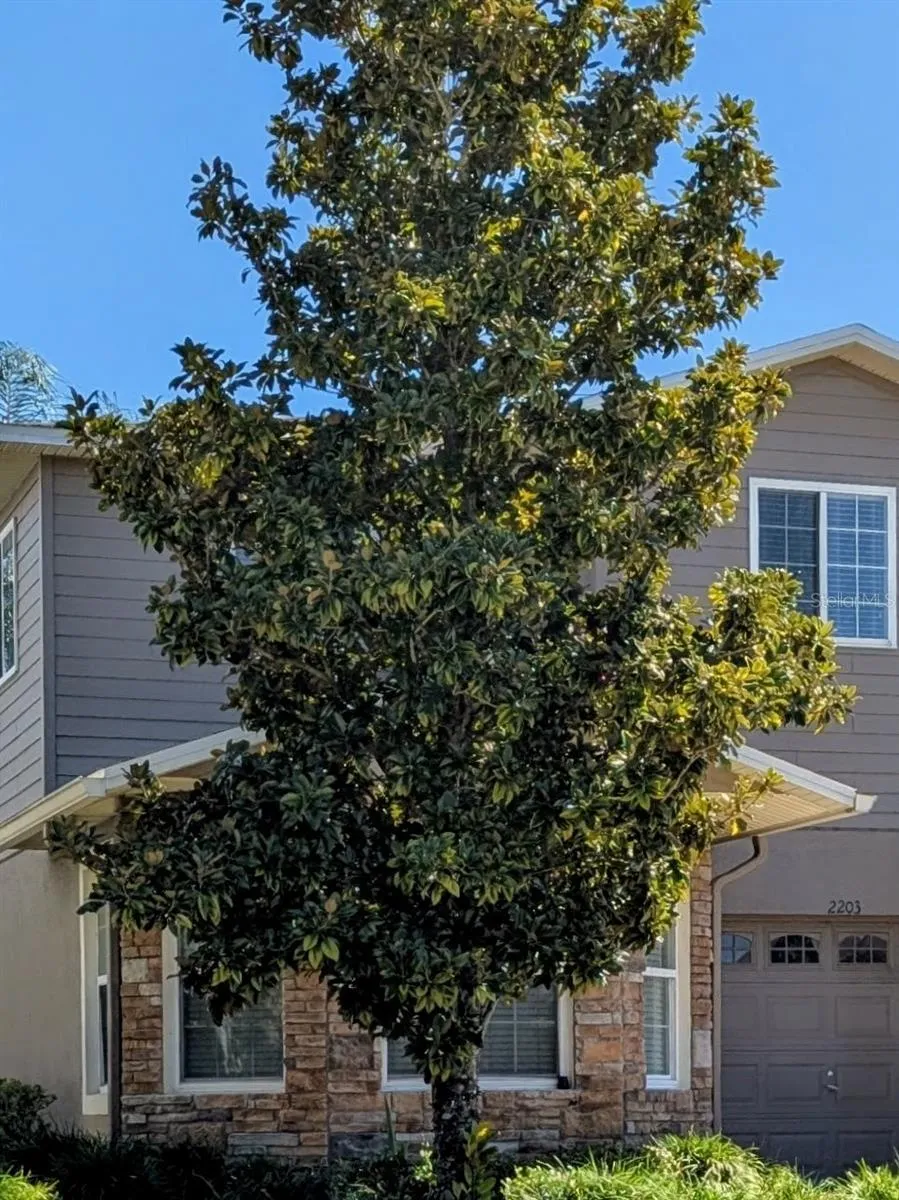 2203 CHATHAM PLACE Orlando, FL 32824