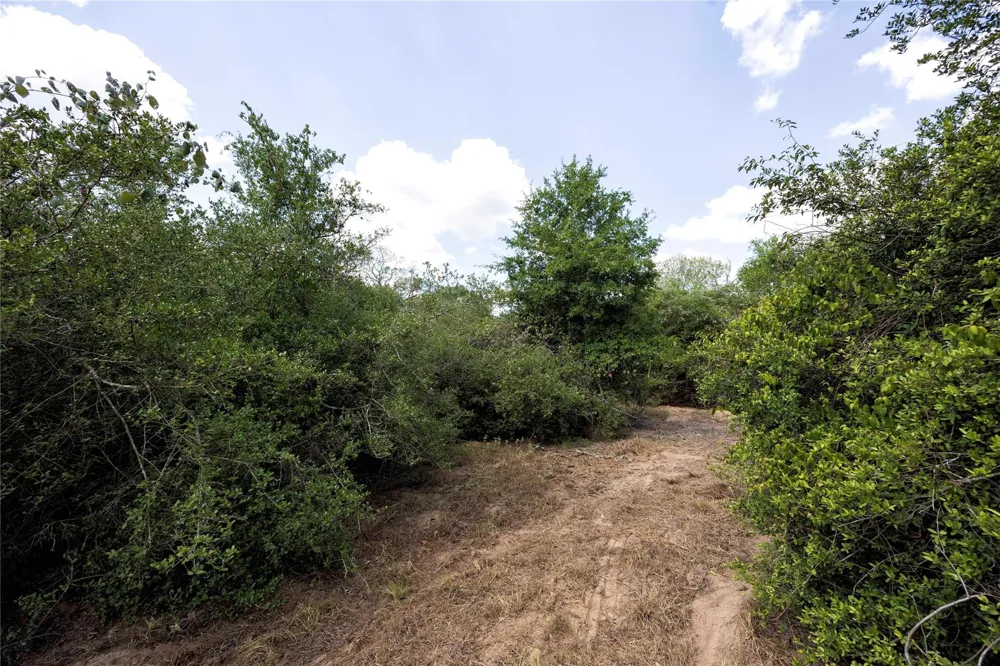 710 County Road 211a Hallettsville, TX 77964