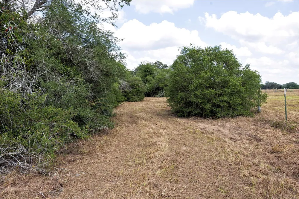 710 County Road 211a Hallettsville, TX 77964