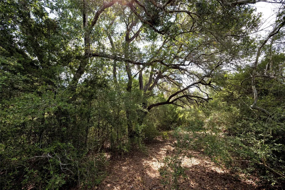 710 County Road 211a Hallettsville, TX 77964