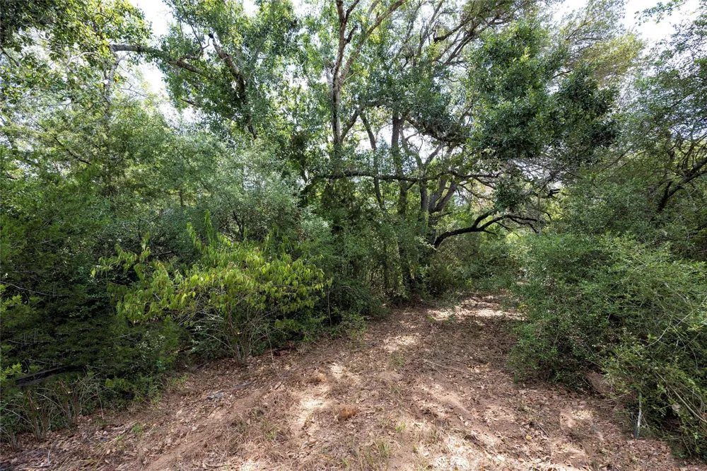 710 County Road 211a Hallettsville, TX 77964