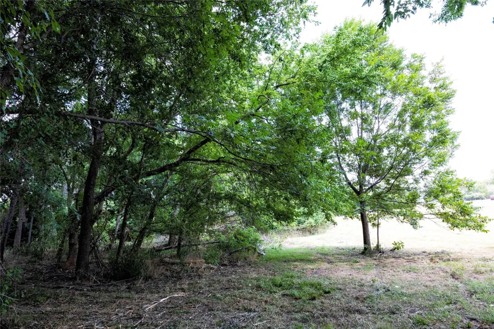 710 County Road 211a Hallettsville, TX 77964