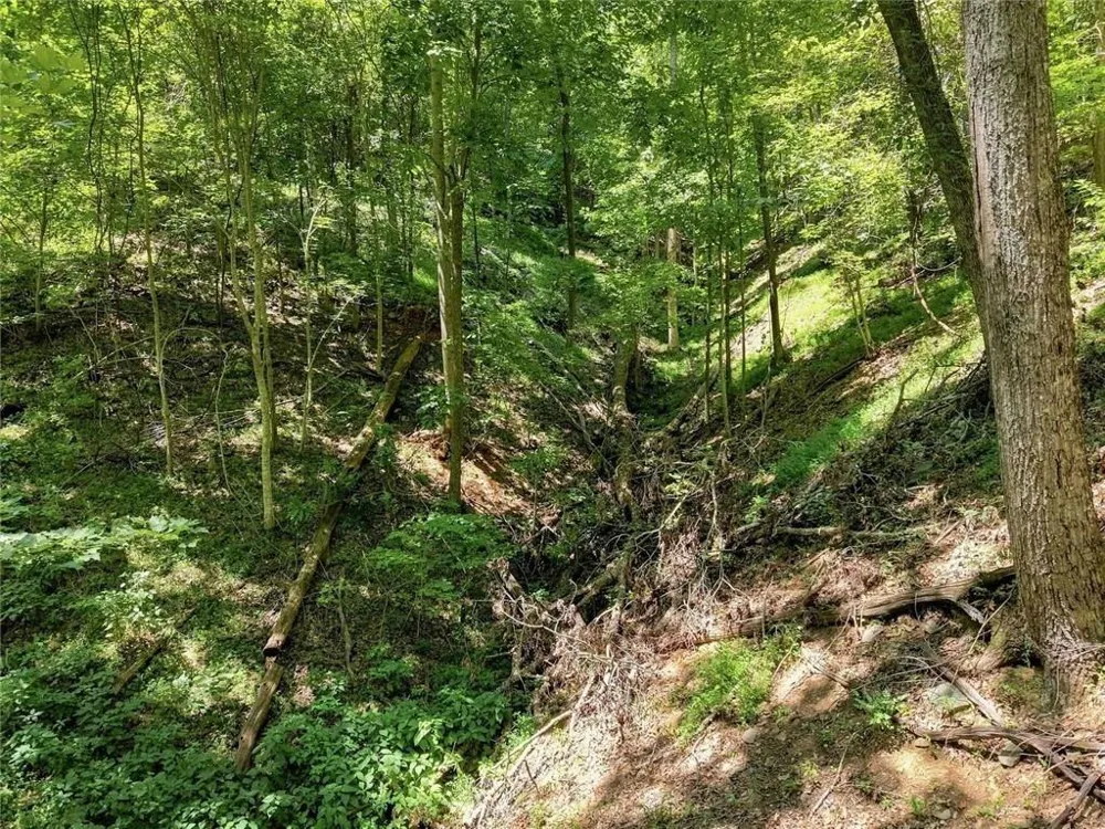 107 Disharoon Drive Big Canoe, GA 30143