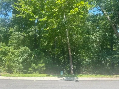 106 Vinings Drive