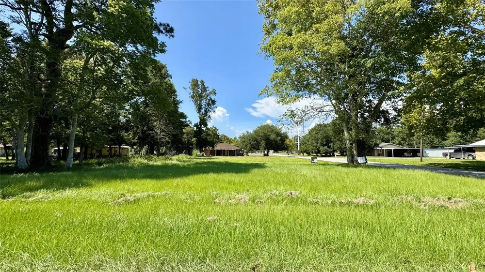 304 Bobcat Lane Daisetta, TX 77533