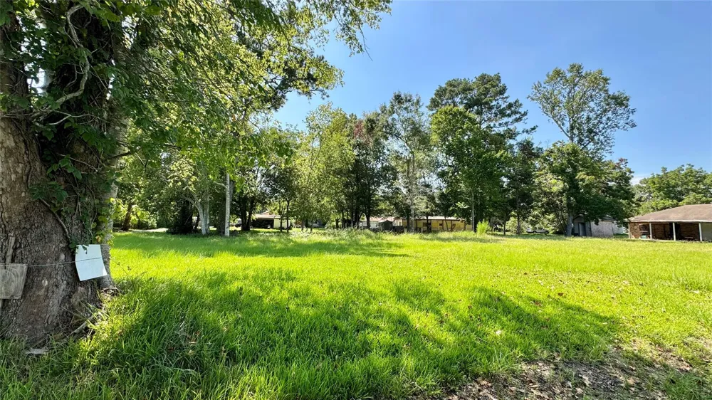 304 Bobcat Lane Daisetta, TX 77533