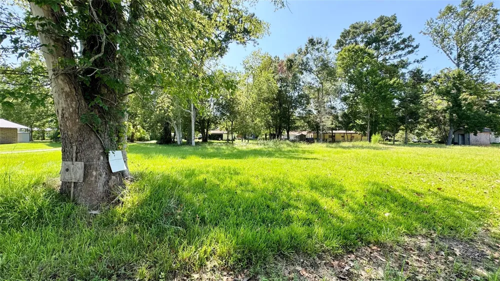 304 Bobcat Lane Daisetta, TX 77533