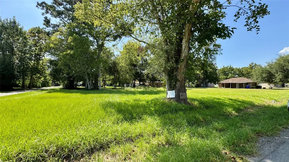 304 Bobcat Lane Daisetta, TX 77533