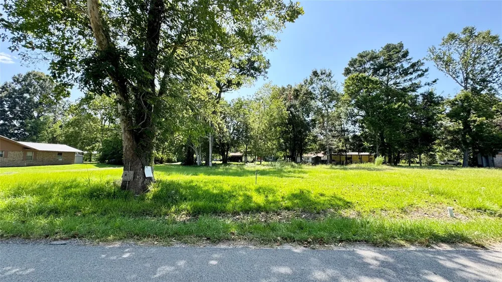 304 Bobcat Lane Daisetta, TX 77533