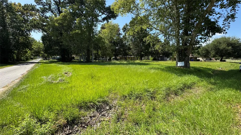 304 Bobcat Lane Daisetta, TX 77533