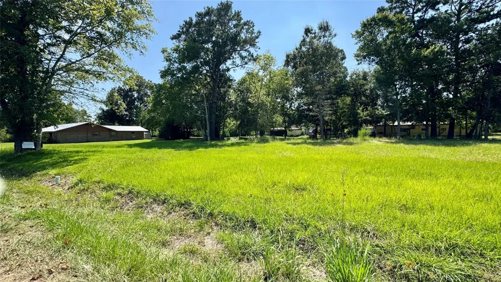 304 Bobcat Lane Daisetta, TX 77533