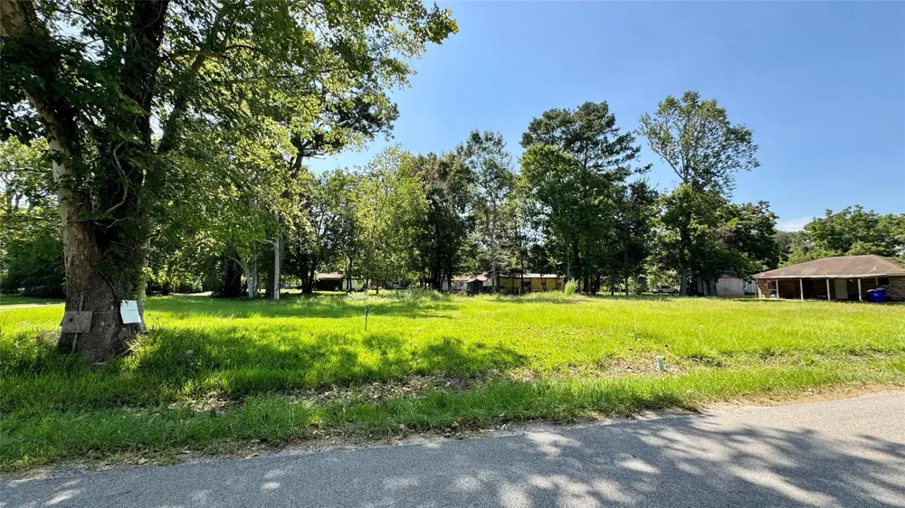304 Bobcat Lane Daisetta, TX 77533