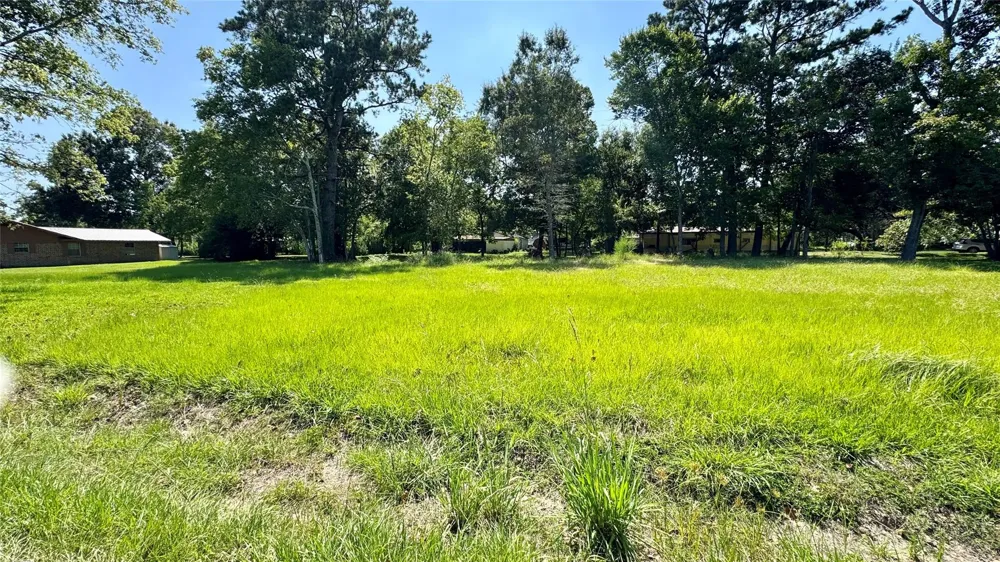 304 Bobcat Lane Daisetta, TX 77533