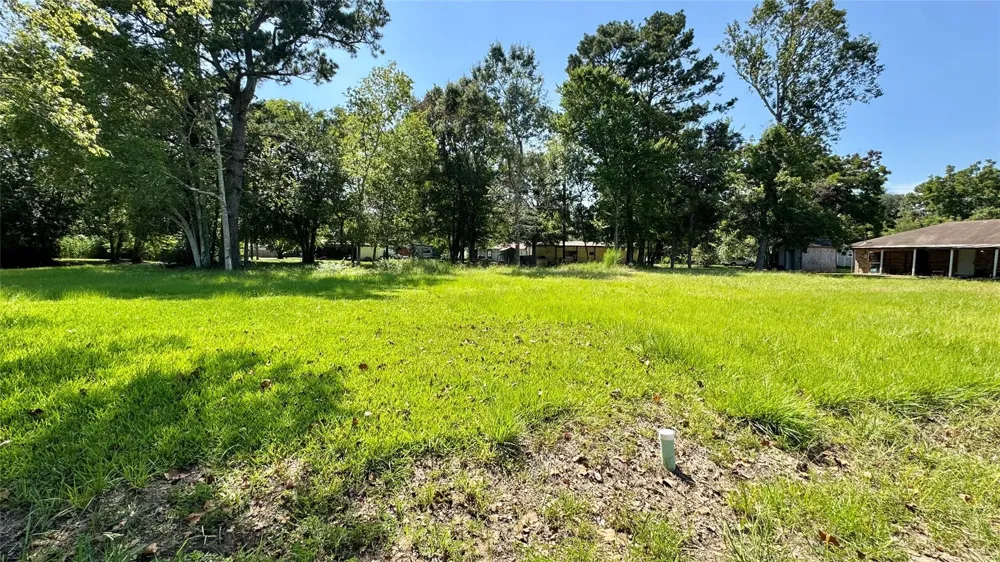304 Bobcat Lane Daisetta, TX 77533