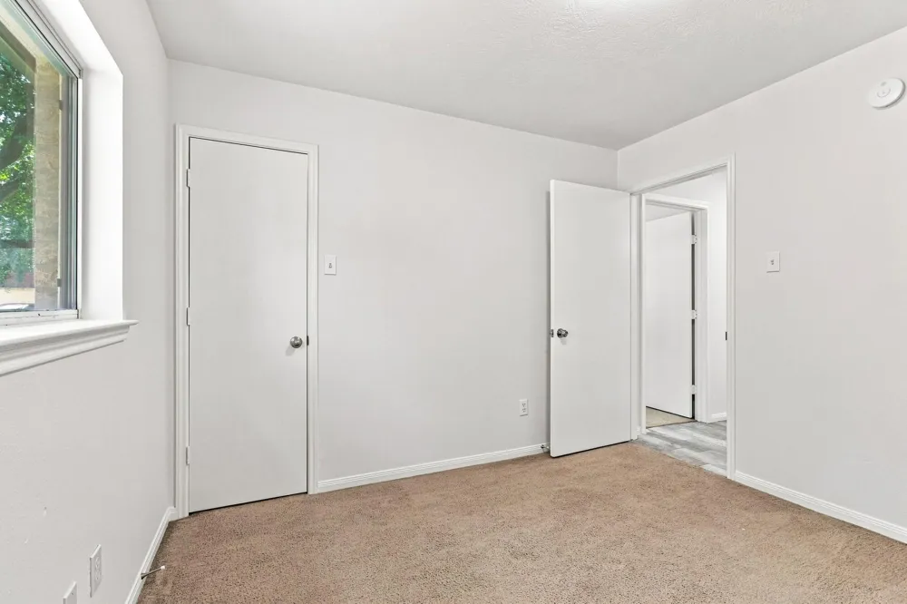 17234 Trace Glen Lane Houston, TX 77083