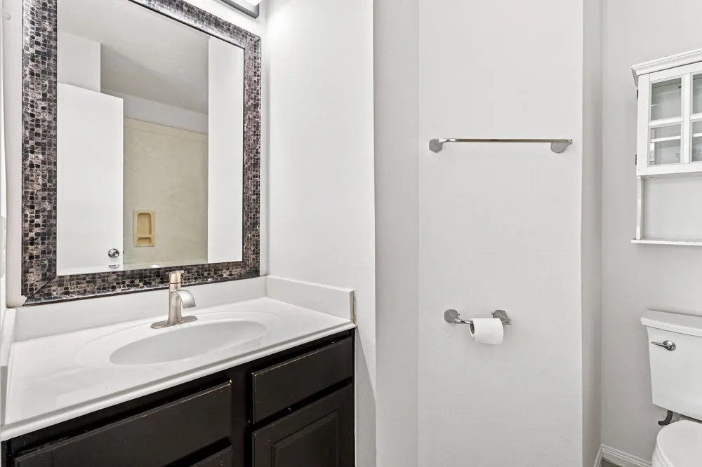 17234 Trace Glen Lane Houston, TX 77083