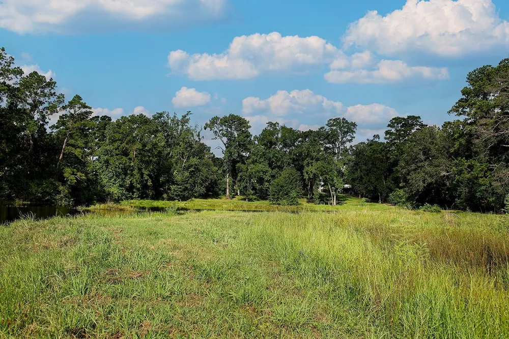 25126 Gosling Road Spring, TX 77389