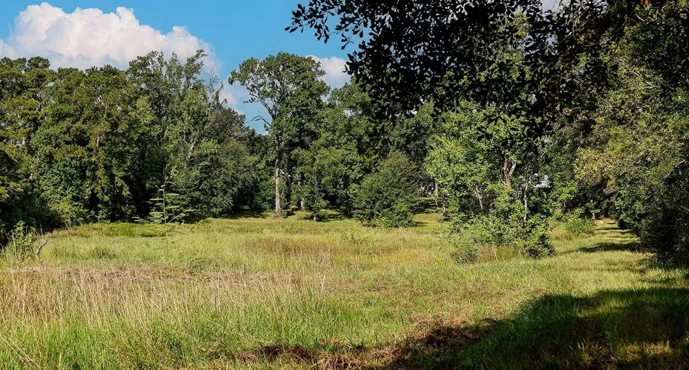 25126 Gosling Road Spring, TX 77389