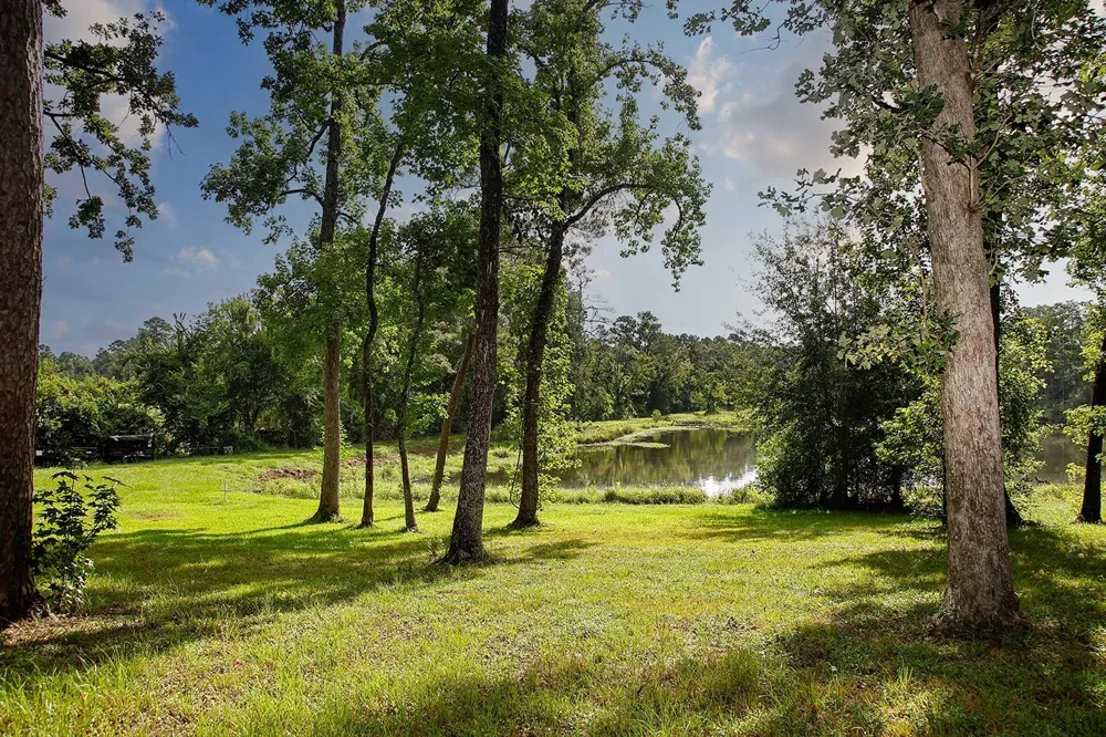 25126 Gosling Road Spring, TX 77389