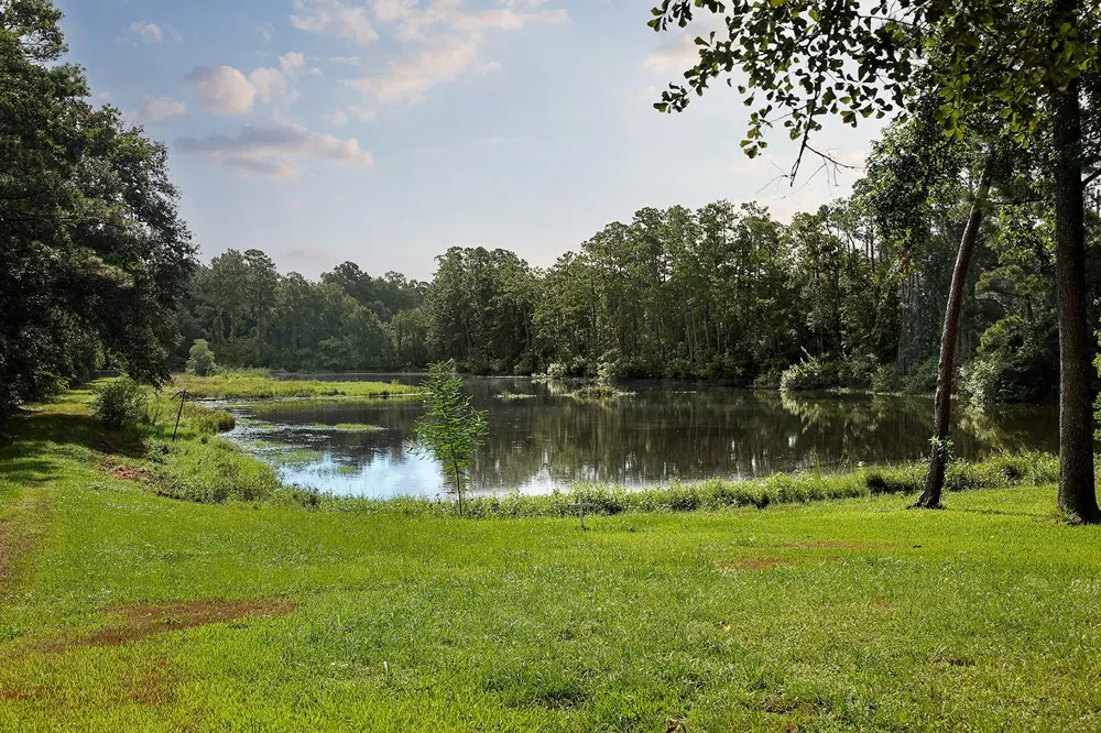 25126 Gosling Road Spring, TX 77389