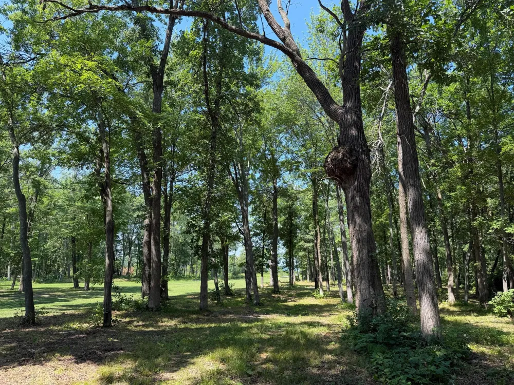 TBD Fork Ln Merrifield, MN 56465