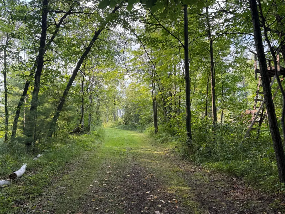 TBD Fork Ln Merrifield, MN 56465