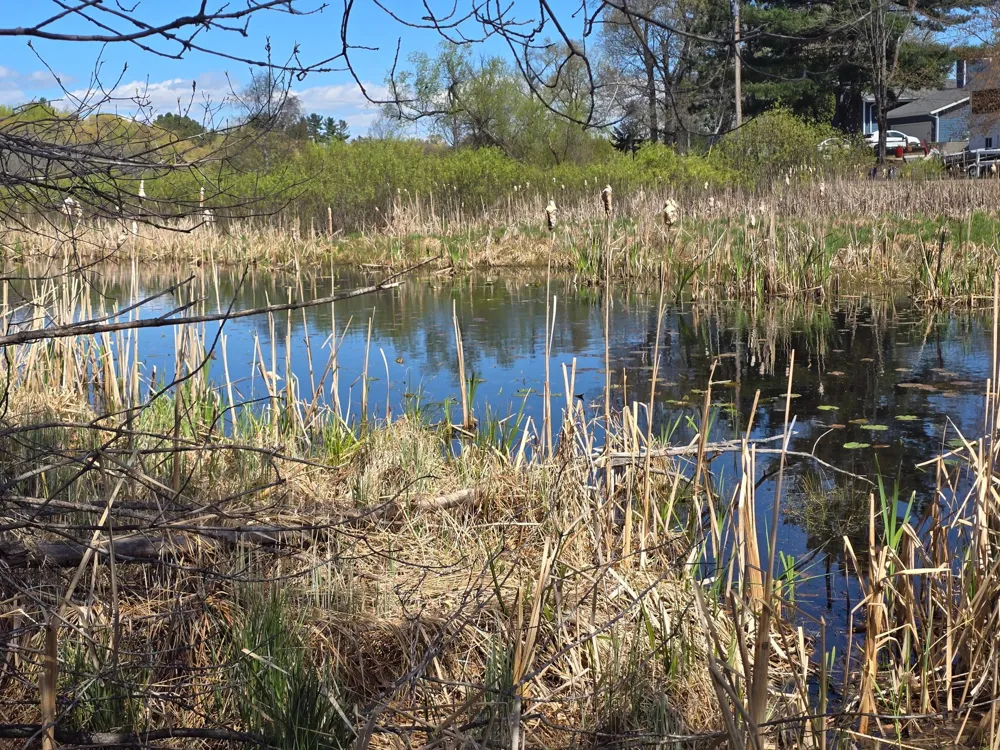 TBD NE West Fawn Lake Road Stacy, MN 55079