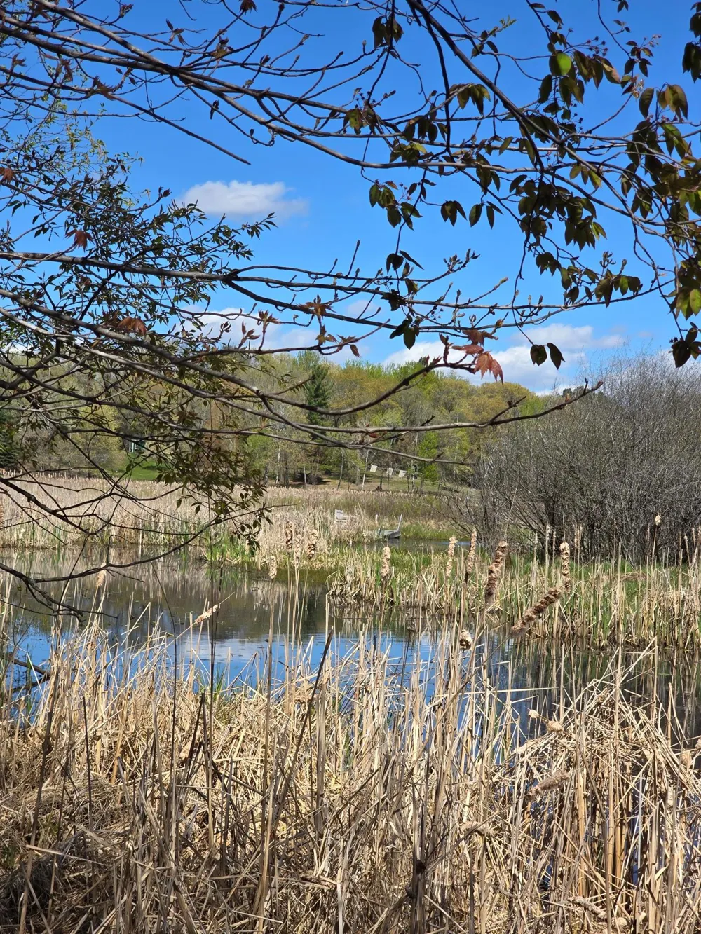 TBD NE West Fawn Lake Road Stacy, MN 55079