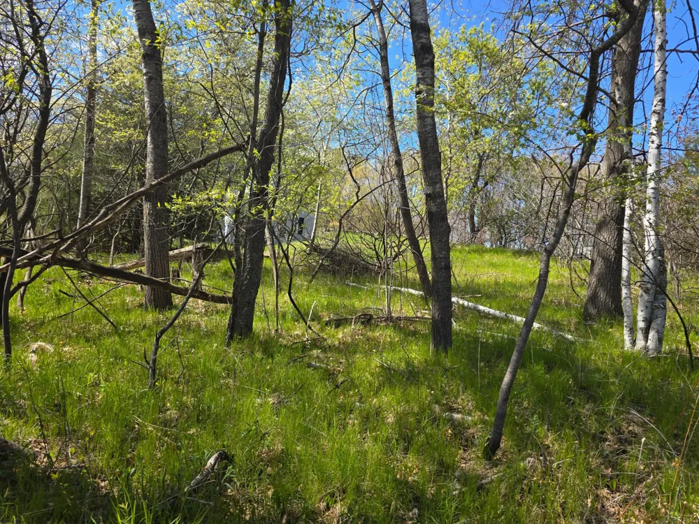 TBD NE West Fawn Lake Road Stacy, MN 55079