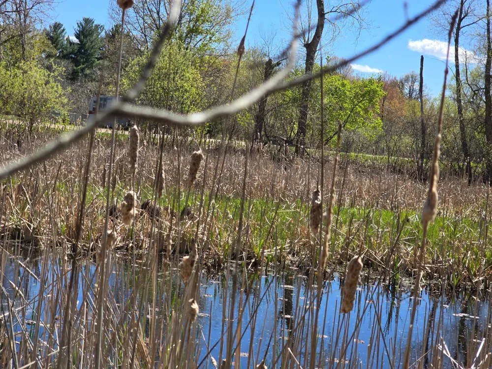 TBD NE West Fawn Lake Road Stacy, MN 55079
