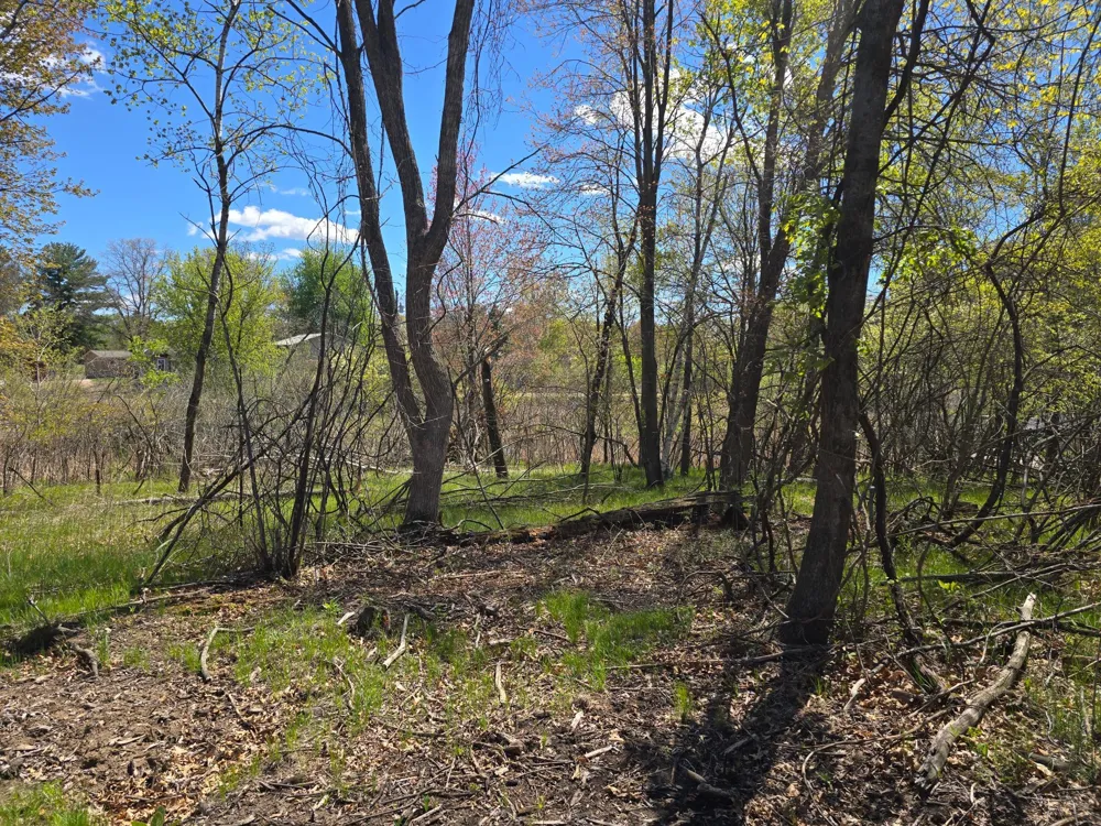 TBD NE West Fawn Lake Road Stacy, MN 55079