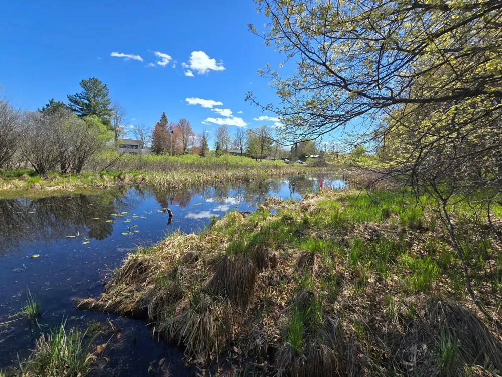 TBD NE West Fawn Lake Road Stacy, MN 55079