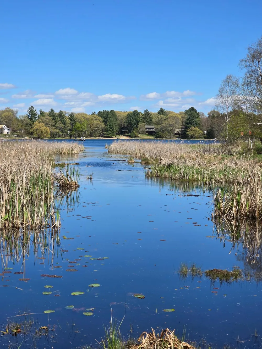 TBD NE West Fawn Lake Road Stacy, MN 55079
