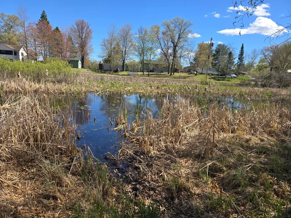 TBD NE West Fawn Lake Road Stacy, MN 55079