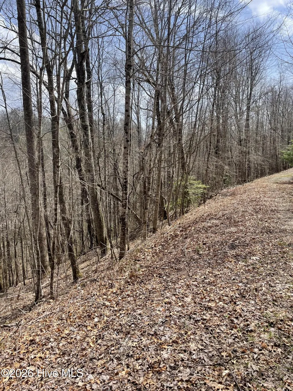 11a 11b Hidden Lakes Road Topton, NC 28781