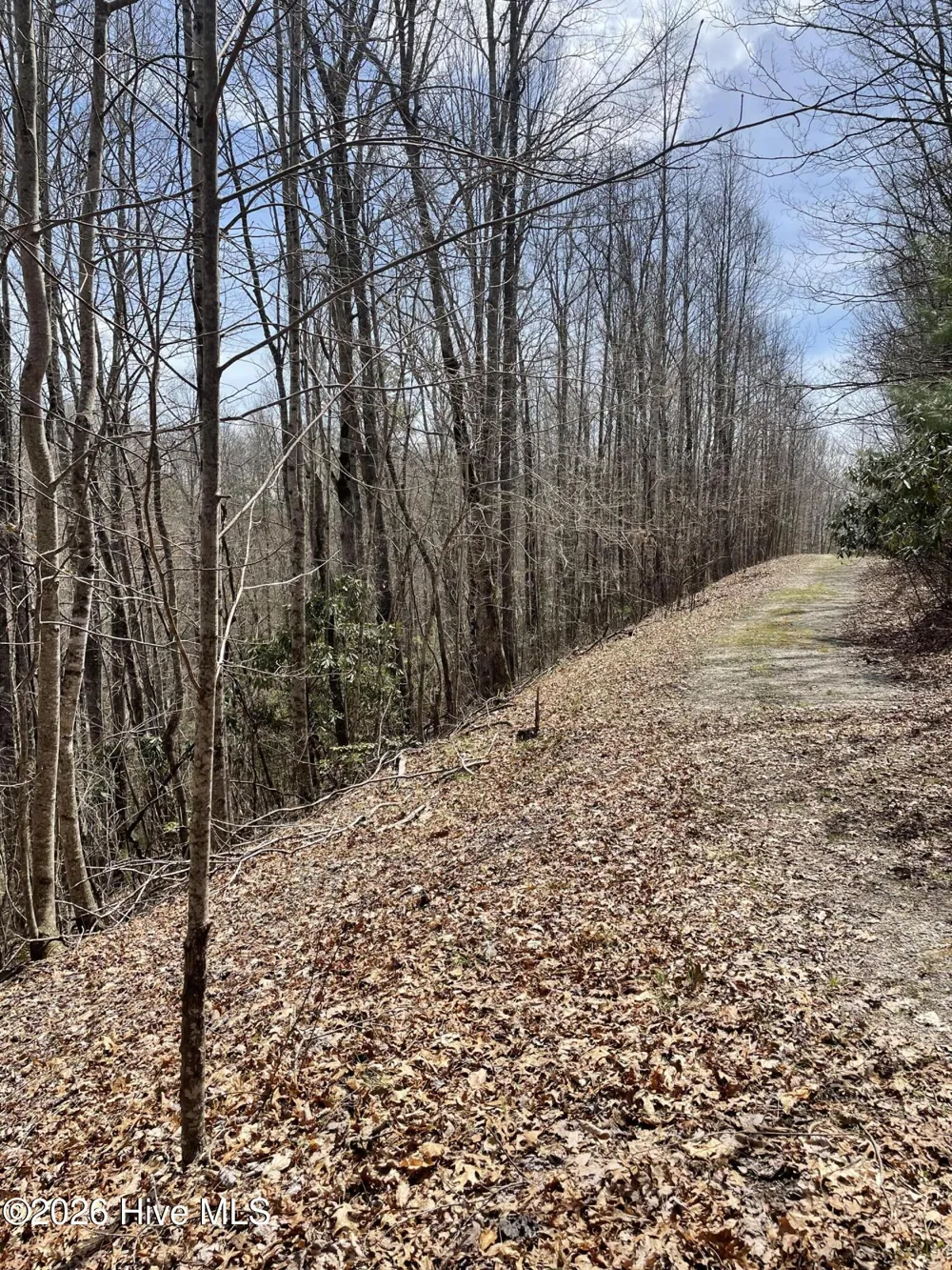 11a 11b Hidden Lakes Road Topton, NC 28781