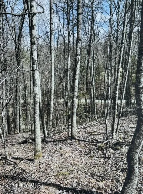 11a 11b Hidden Lakes Road