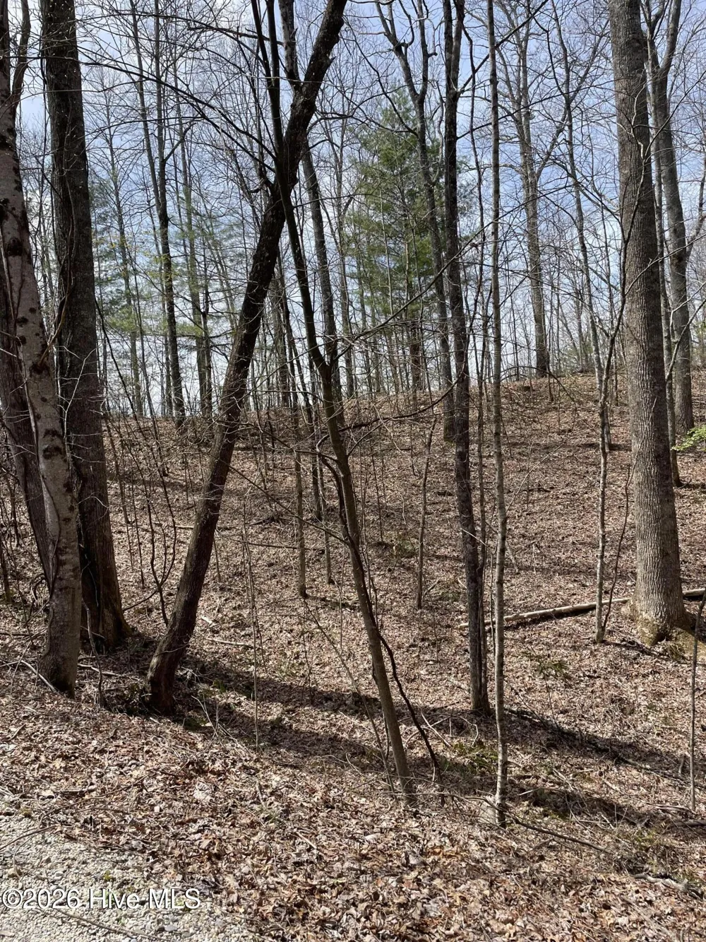 11a 11b Hidden Lakes Road Topton, NC 28781