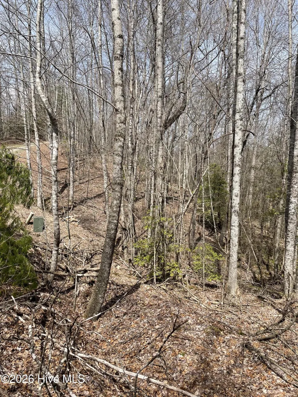 11a 11b Hidden Lakes Road Topton, NC 28781