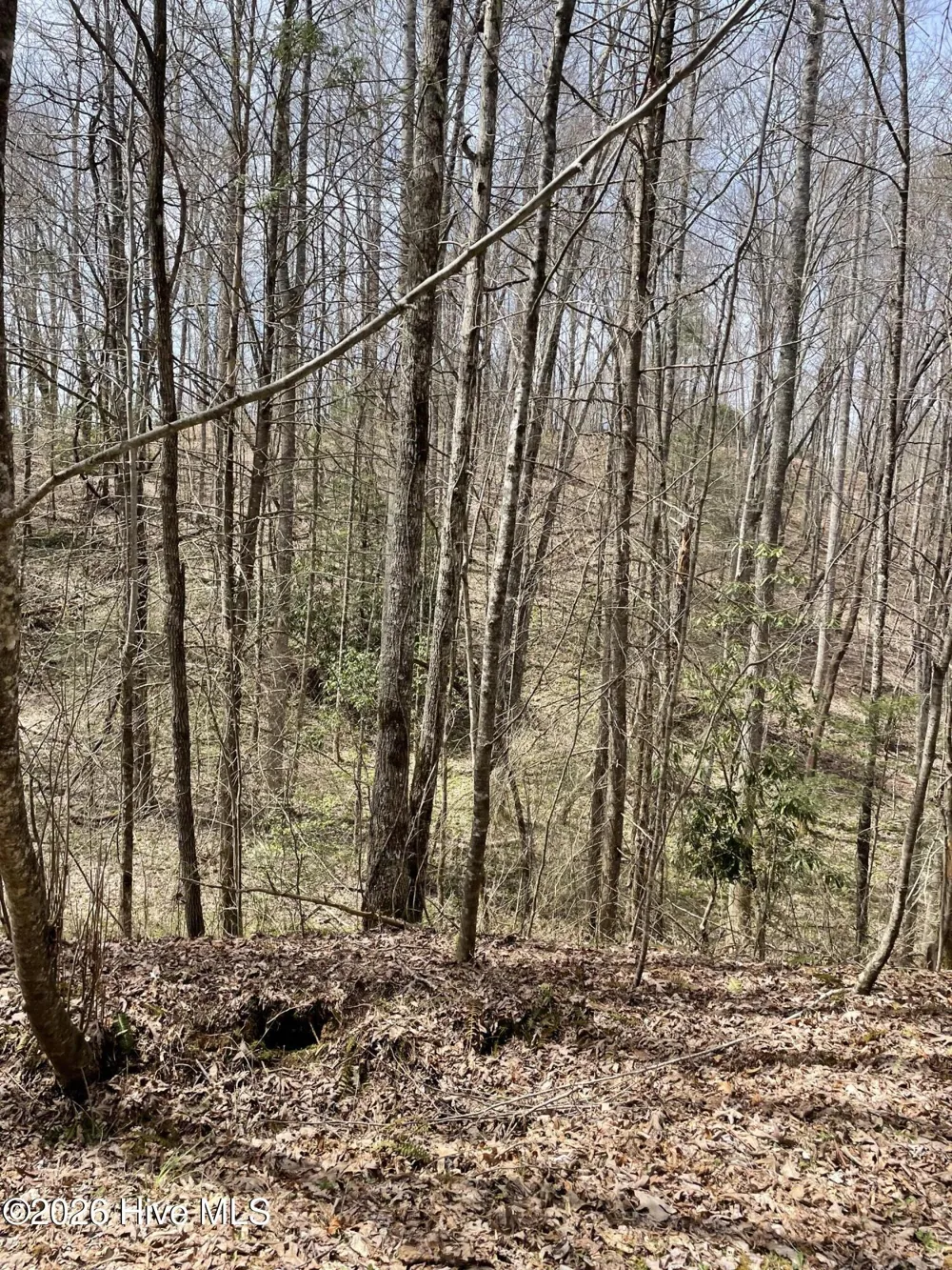 11a 11b Hidden Lakes Road Topton, NC 28781