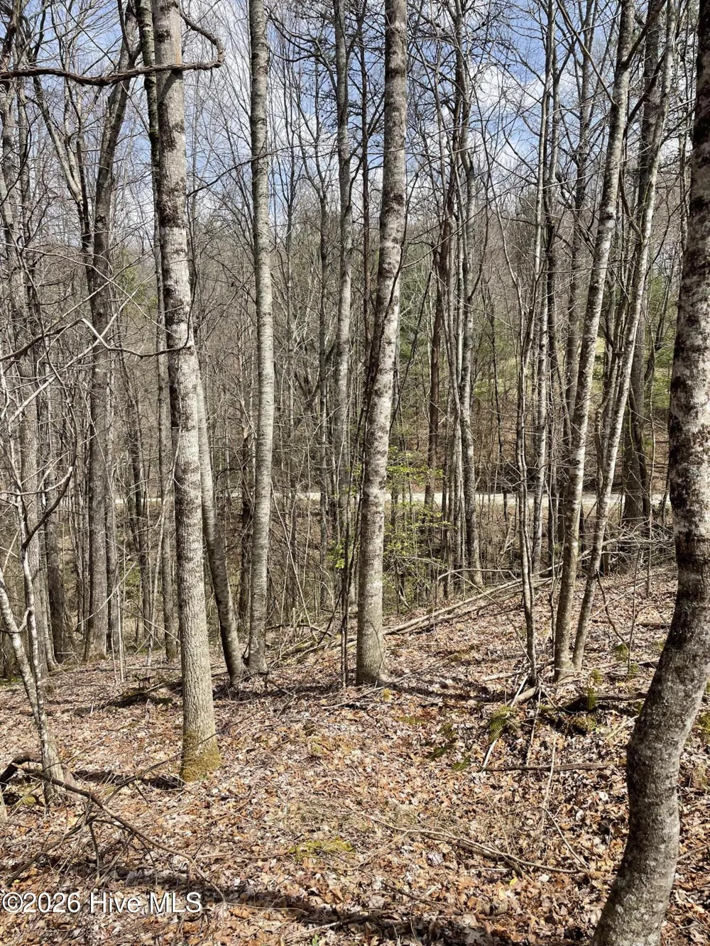 11a 11b Hidden Lakes Road Topton, NC 28781