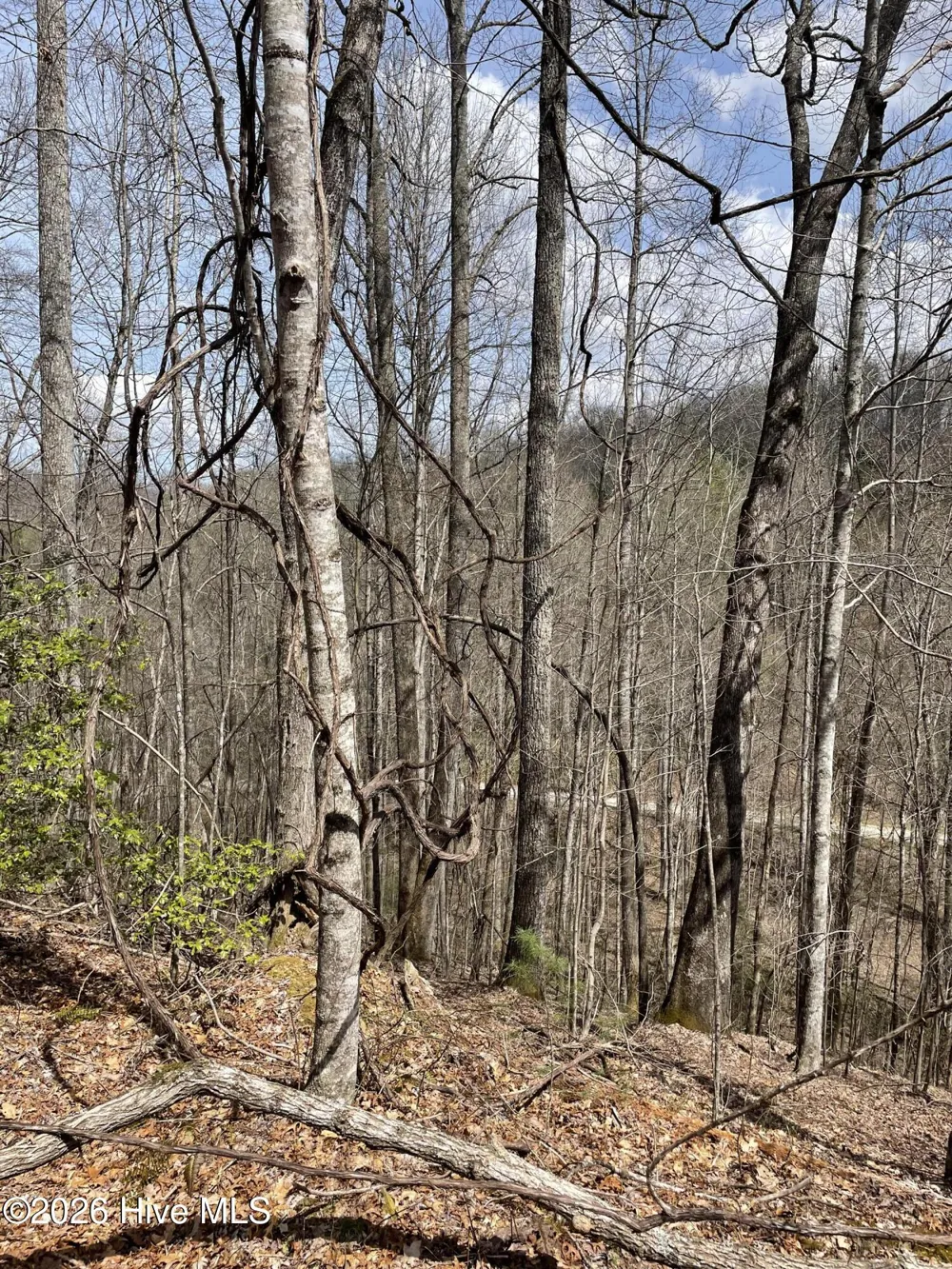 11a 11b Hidden Lakes Road Topton, NC 28781