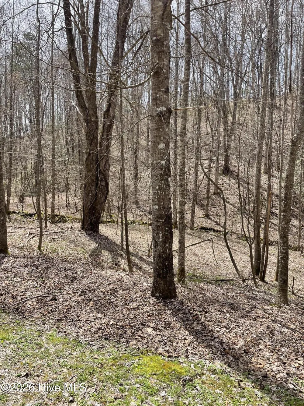 11a 11b Hidden Lakes Road Topton, NC 28781