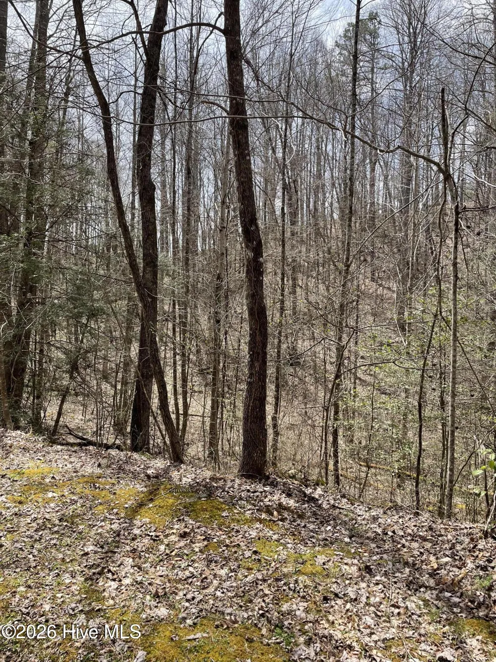 11a 11b Hidden Lakes Road Topton, NC 28781