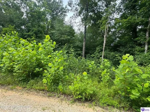 0 Ted Logsdon Road