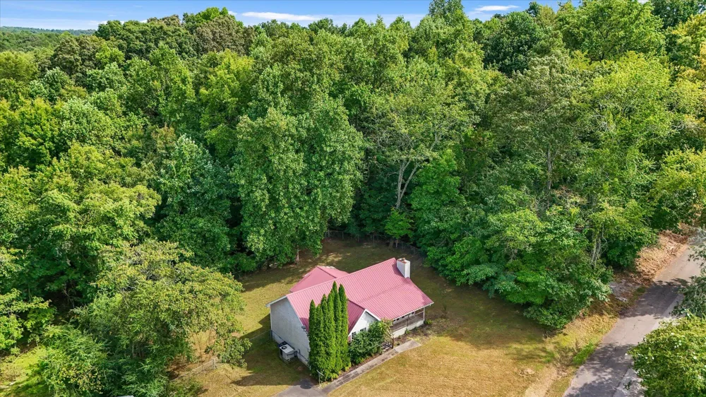 14319 Bluffview Drive Birchwood, TN 37308