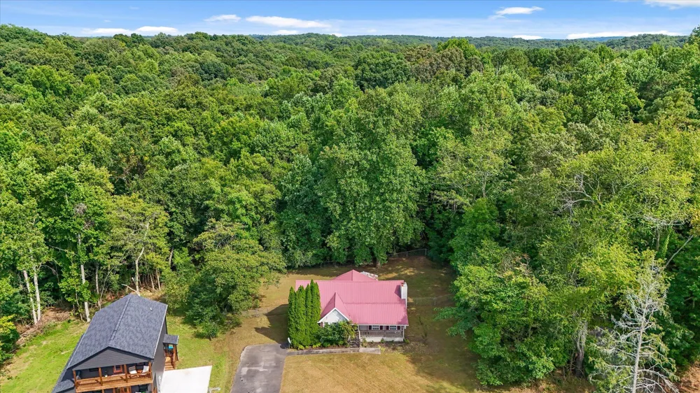 14319 Bluffview Drive Birchwood, TN 37308