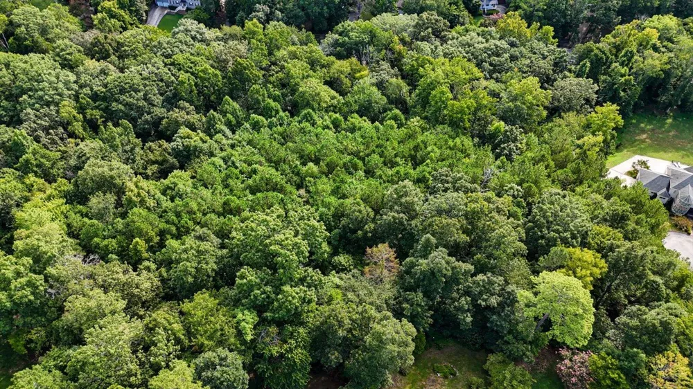 2001 River Bluff Drive Hixson, TN 37343