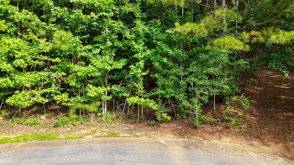 2001 River Bluff Drive Hixson, TN 37343