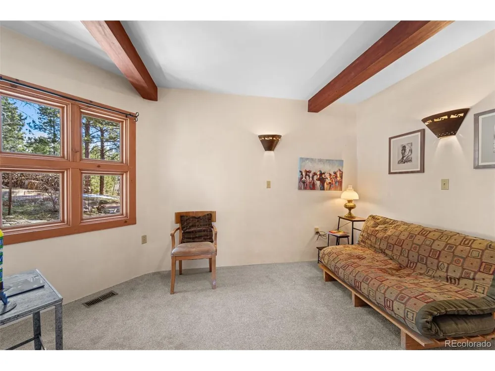 174 Needle Creek Road Divide, CO 80814